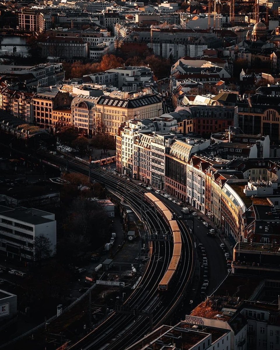 Brandon Donnelly tweet media