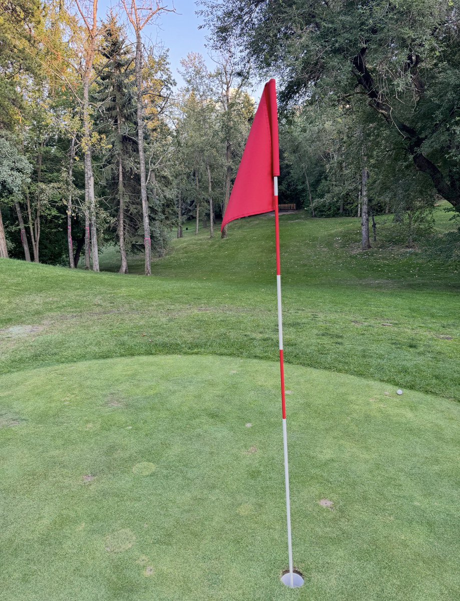 Standard Golf tweet media