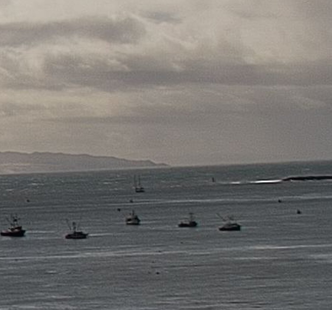 TWSailing's tweet photo. S/V Odyssey spotted on a webcam at Port San Luis! You might have to squint your eyes, but behold the double masts! https://t.co/iLcHPkxDPO