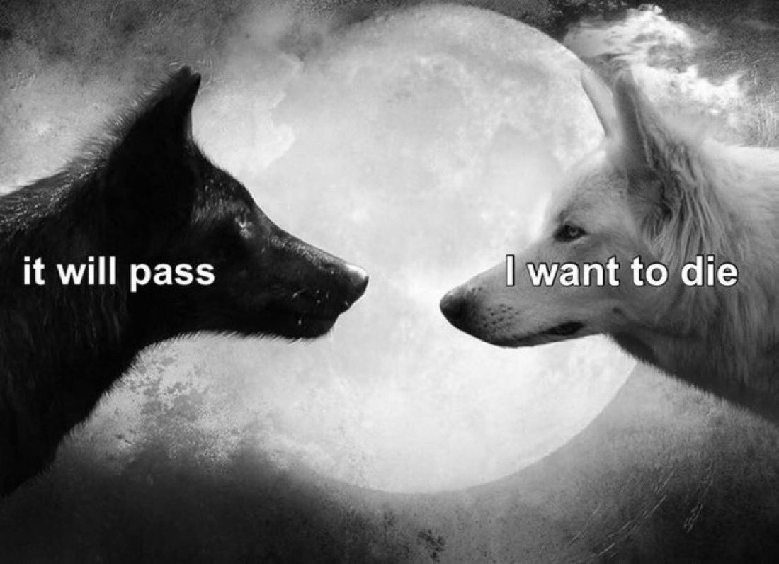 Dante (@imydante) on Twitter photo 