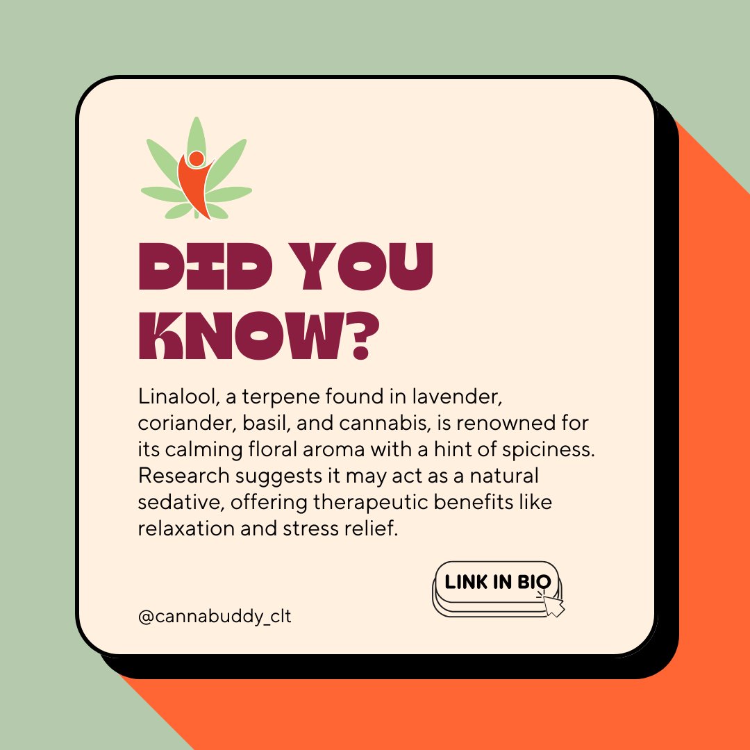 Did you know? 🌱 Linalool is a terpene found in lavender, coriander, basil, and cannabis, known for its calming floral aroma and subtle spice.

Discover more about the science behind plant wellness—link in bio! #CannaBuddy #WellnessEducation #Terpenes