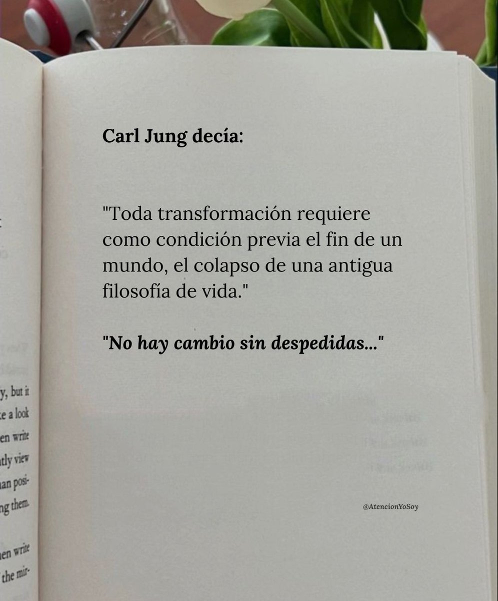 AtencionYoSoy's tweet photo. 👇🏻 https://t.co/SrSmcRIEmt