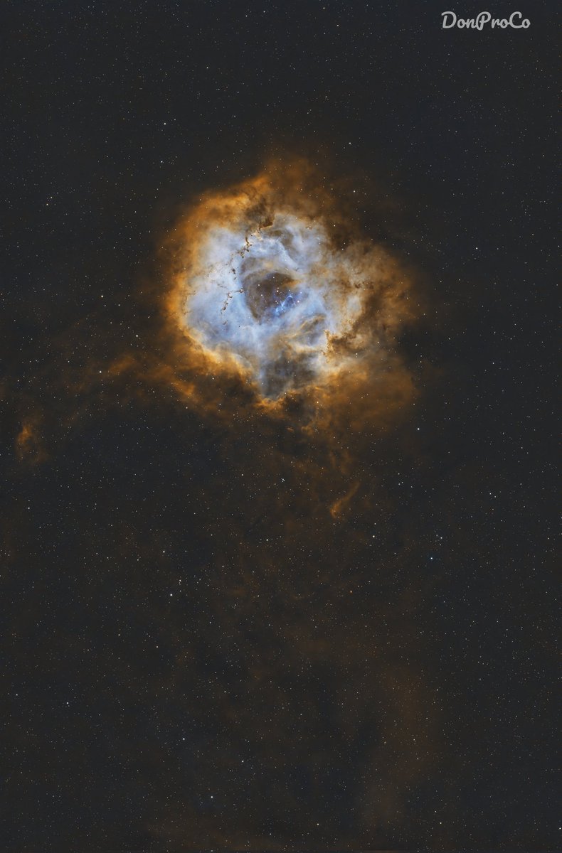 ISRAEL RAMIREZ tweet media