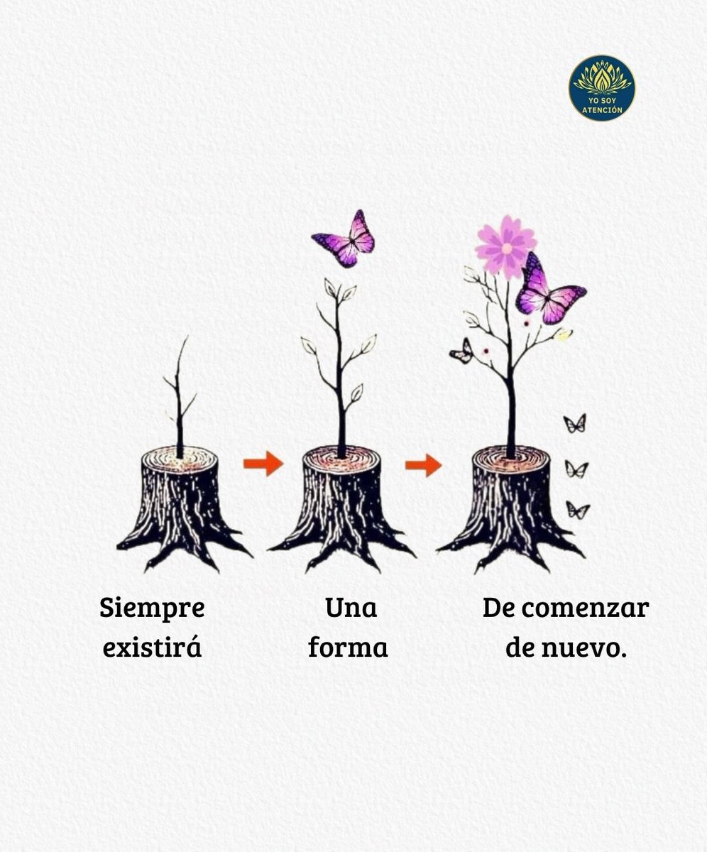 AtencionYoSoy's tweet photo. 🪷🦋 https://t.co/MhcarYNLxJ