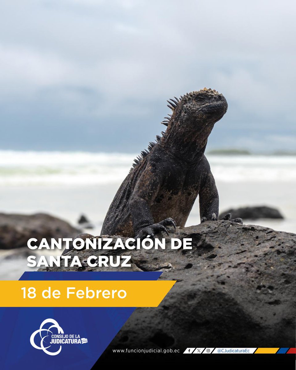 GalapagosCJ's tweet photo. 🎉 La Dirección Provincial de @GalapagosCJ saluda a la población de Santa Cruz y San Cristóbal en su aniversario de cantonización. https://t.co/OoeuI8RErn