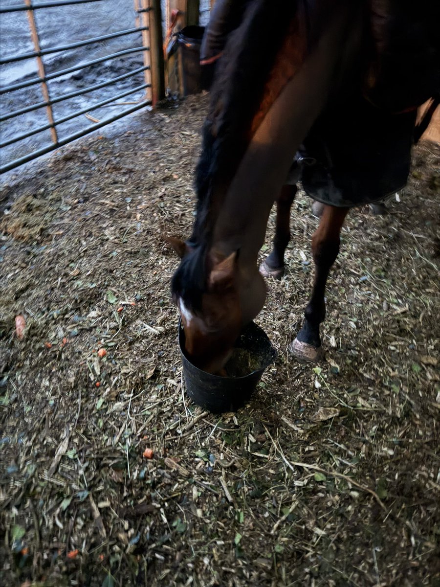 Miss Tess tweet media