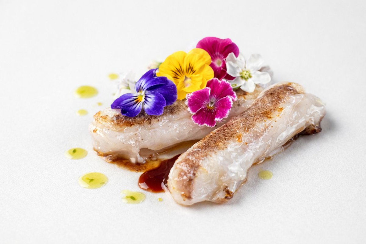 La Kokotxa: El Latido Gelatinoso del Cantábrico
Siempre he sostenido que la gastronomía es, en esencia, una cuestión de texturas. 
<a href="/andresmadrigalg/">andres madrigal</a> 
canariasgourmet.es/?p=30155&previ…
#Kokotxa #Cocochas #KokotxaAlPilPil #PilPil #CocinaVasca #GastronomíaVasca  #Merluza #CanariasGourmet