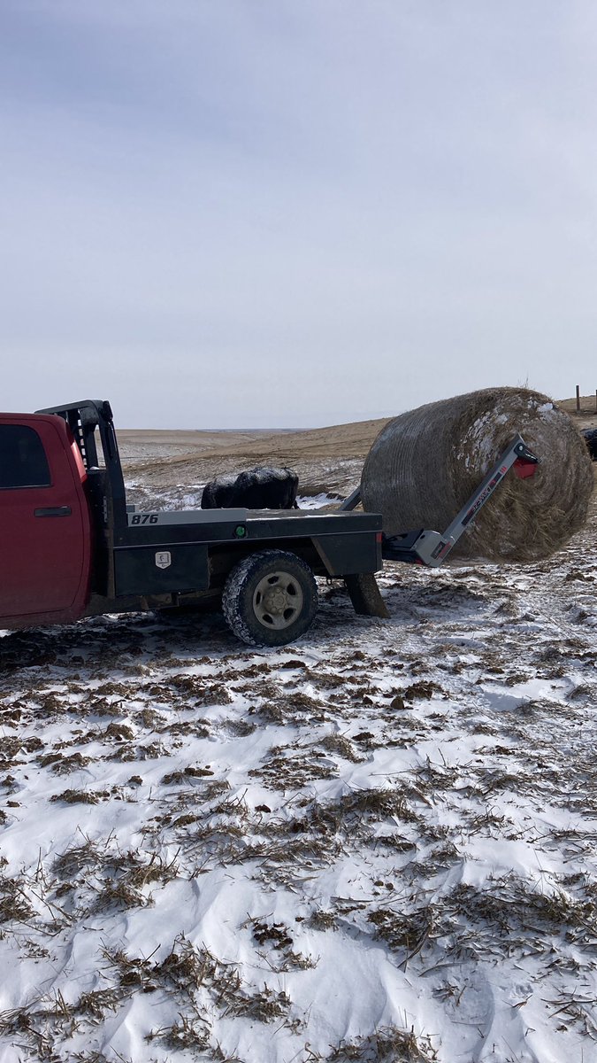 Curtis Fladager (angrycowboy) tweet media