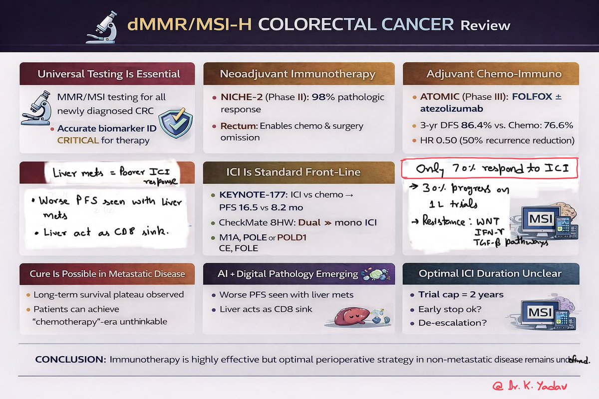 K_Yadavir's tweet image. dMMR/MSI-H CRC in 2026:

• NICHE-2: 98% pathologic response
• ATOMIC: HR 0.50 (50% recurrence reduction)
• CheckMate 8HW: Dual ICI improves PFS
• Liver mets = poorer response

Immunotherapy works.
But resistance &amp;amp; sequencing still matter.

#CRC #Oncology #MSI #dMMR @OncoAlert