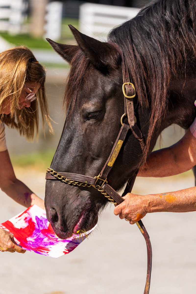 AftertheFinishLine tweet media