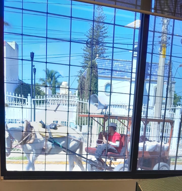 daniel fernandez tweet media