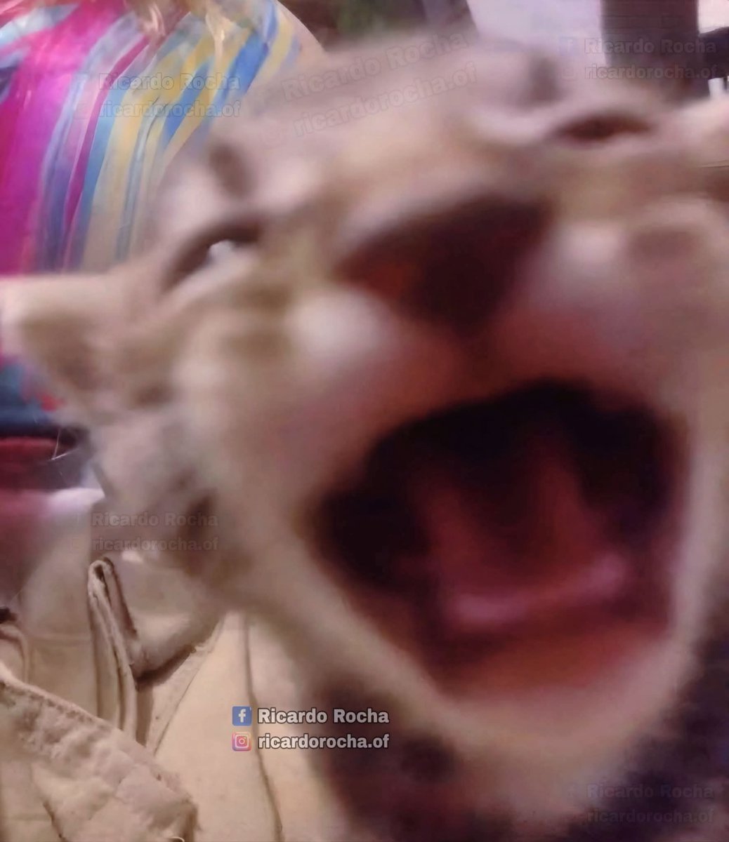 🏕️🪄 ZherGhaL✨ 𝕏 - tweet media