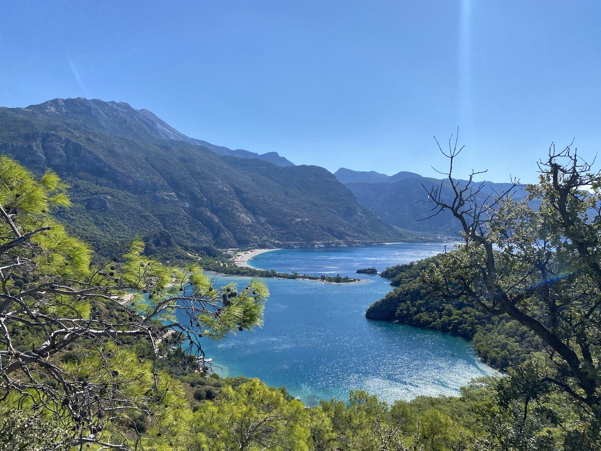 Curly Lead🇹🇷🇦🇿🇪🇸 tweet media