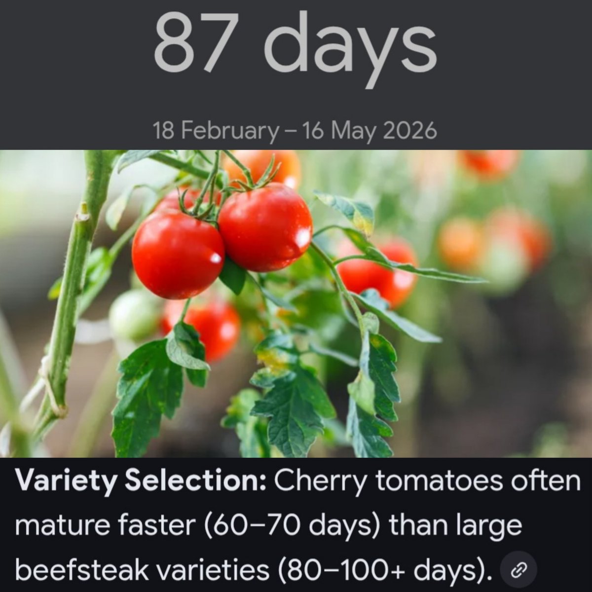 Day 🌻 🪩 🐆 🦖🏌♂️ tweet media