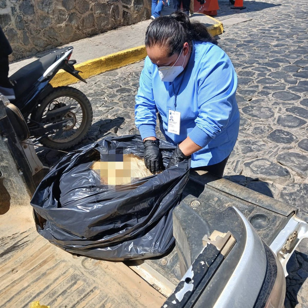 Denuncian envenenamiento masivo de perros en Tapalpa, Jalisco.

Autoridades del pueblo mágico Tapalpa informaron que al menos 13 perros murieron envenenados en la zona de Buenavista.

La Fiscalía estatal ya inició una investigación por el caso.