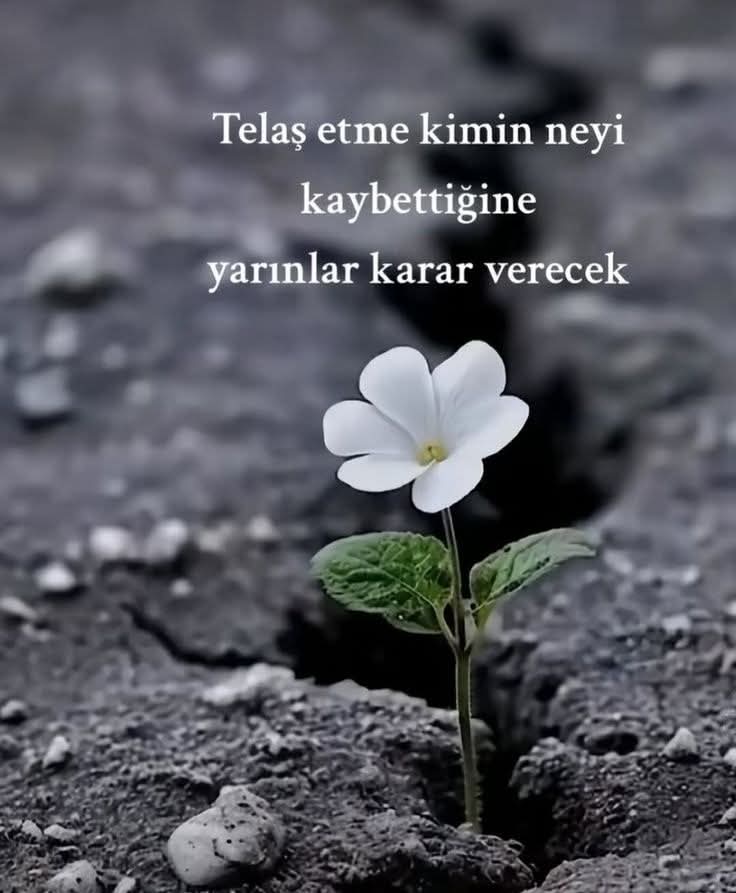 Telaşa gerek yok...