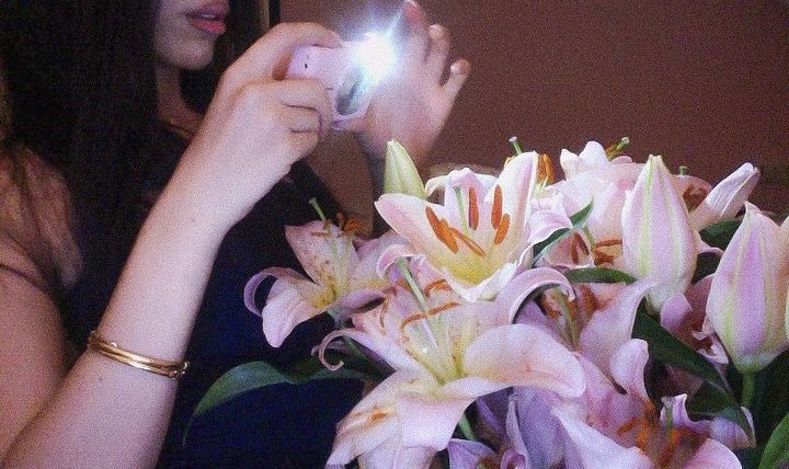 in dreamś tweet media