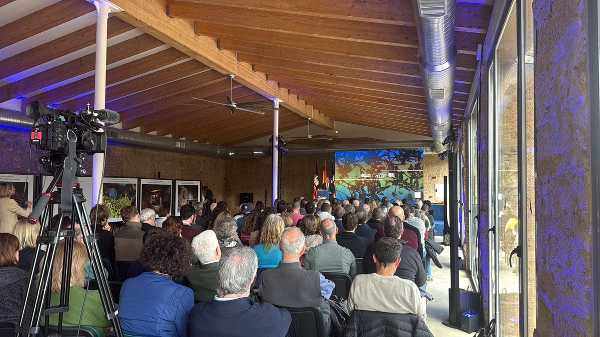 Toni Solivellas tweet media