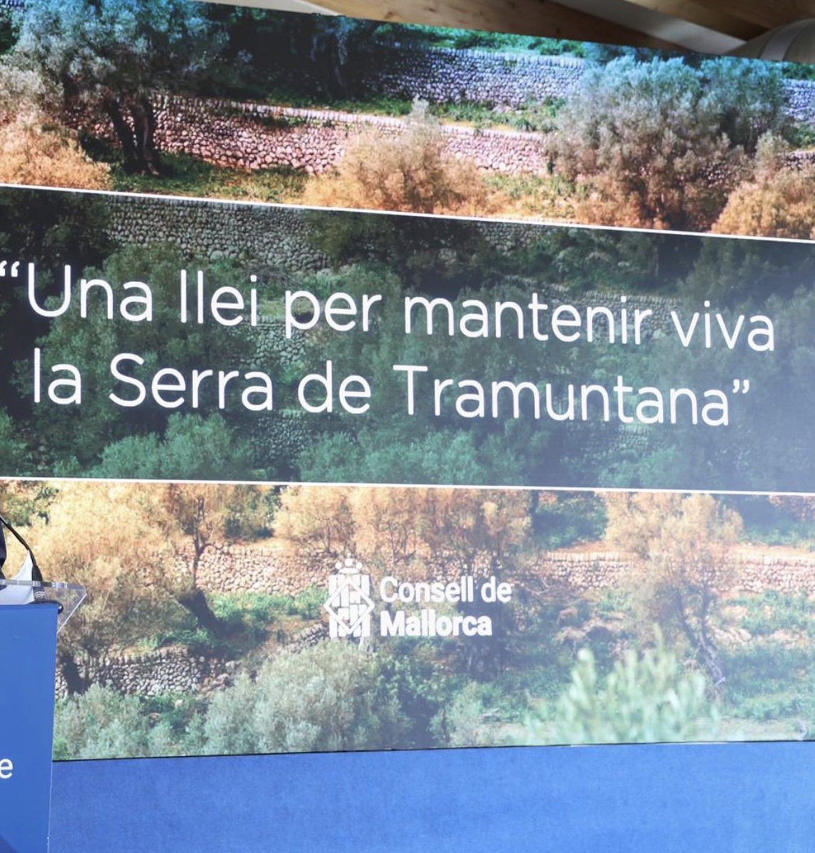 Toni Solivellas tweet media