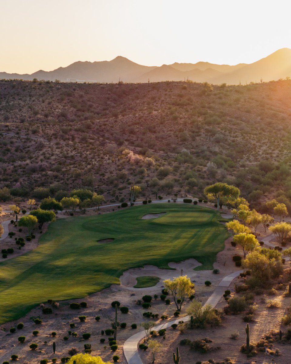 Tee Times USA tweet media