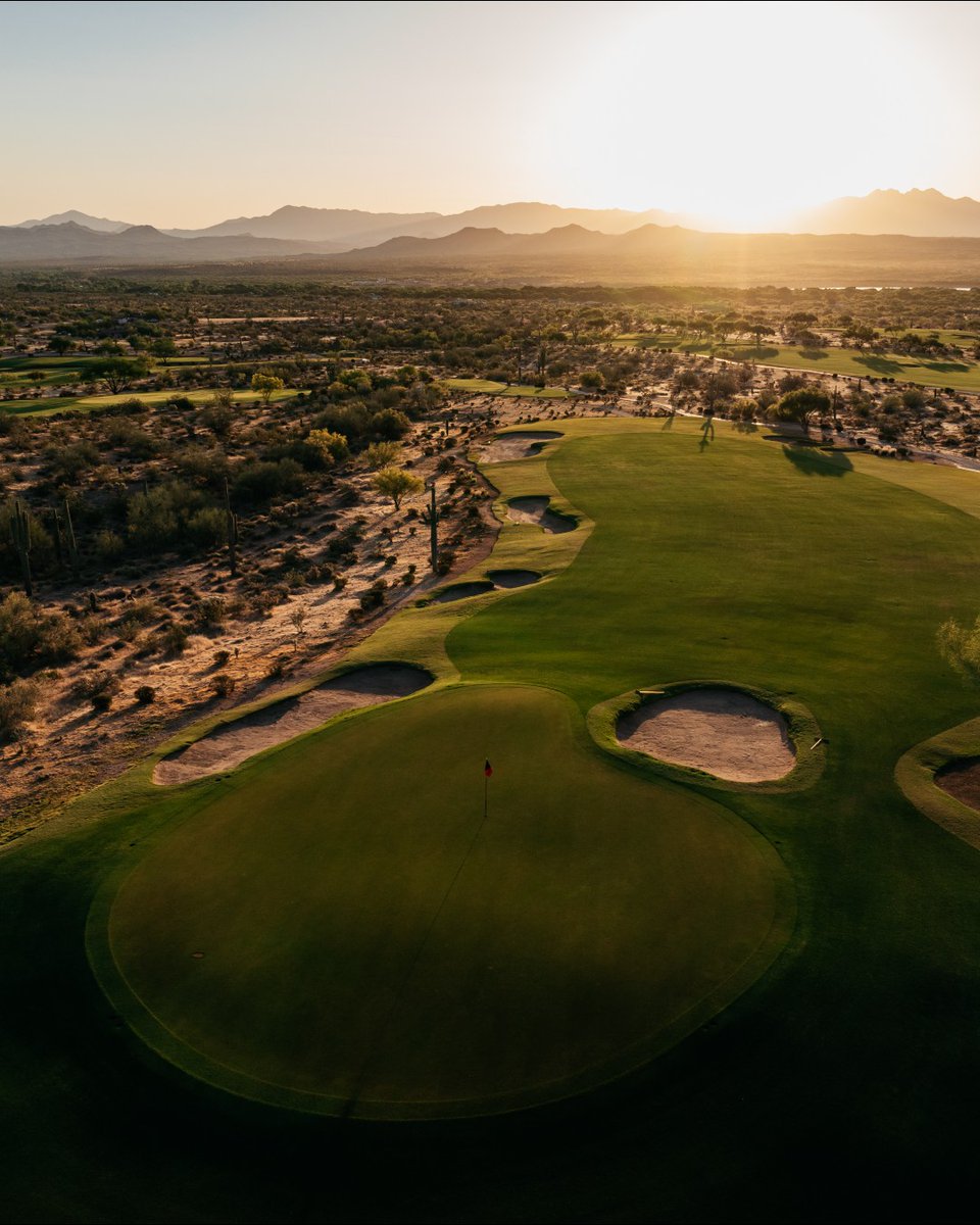 Tee Times USA tweet media