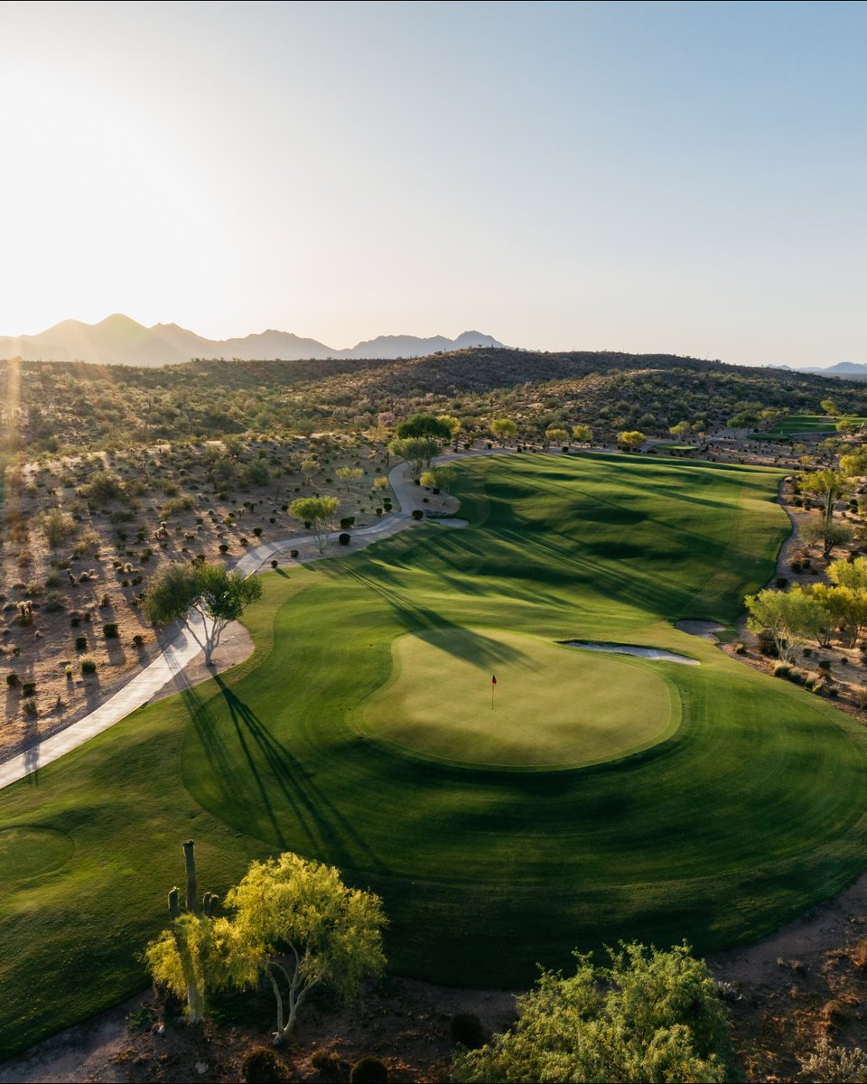 Tee Times USA tweet media