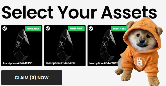 sasami😈 tweet media