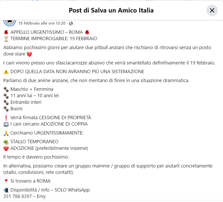 STRAURGENTISSIMO🆘🆘🆘🆘🆘☎️351 788 8397🐕
facebook.com/salvaunamicoit… SALVIAMOLI sono esseri viventi.Maschio 11 anni e Femmina 10 anni ,si cerca STALLO TEMPORANEO ADOZIONE (preferibilmente insieme)I cani vivono presso uno sfasciacarrozze abusivo 😭#4voiceless