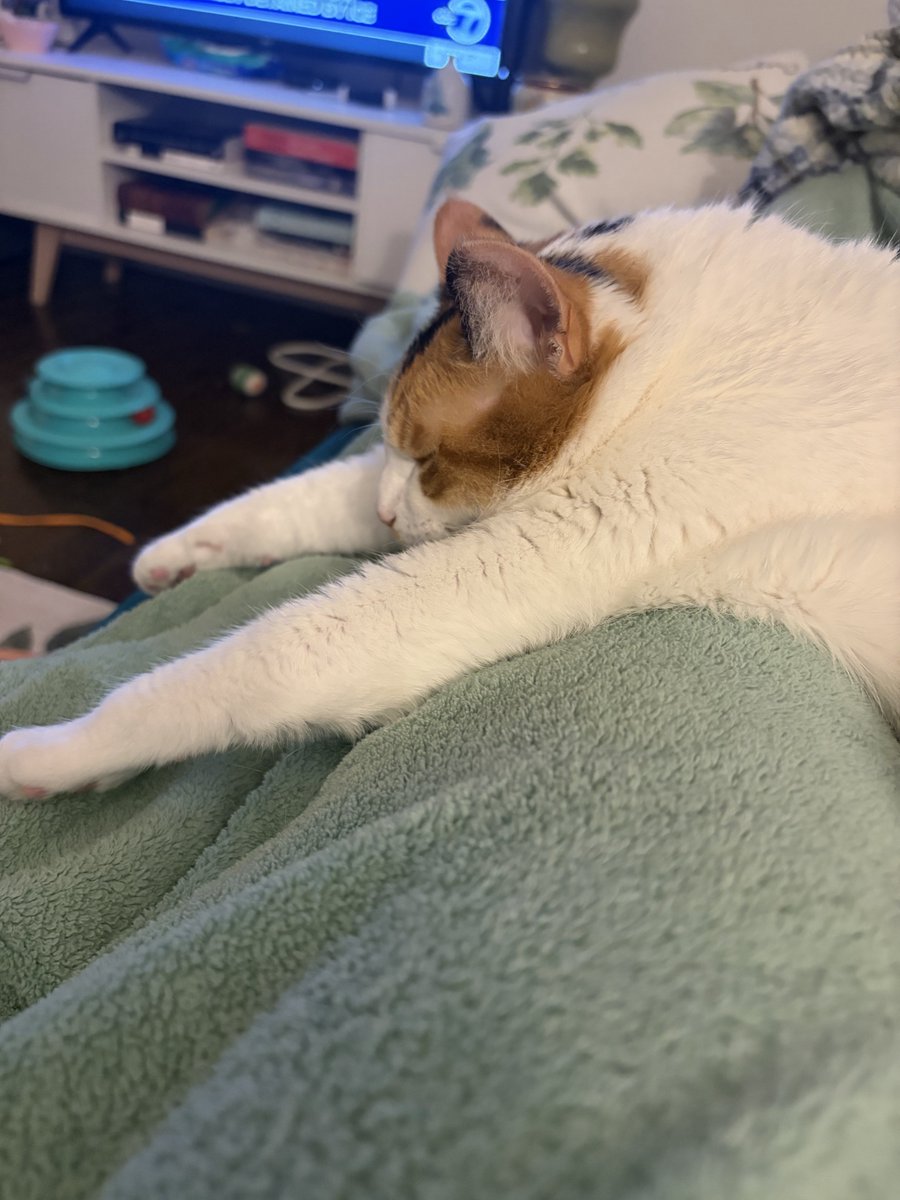 appycot jam tweet media