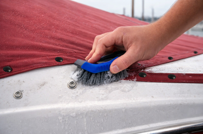 Fasnap Corp tweet media