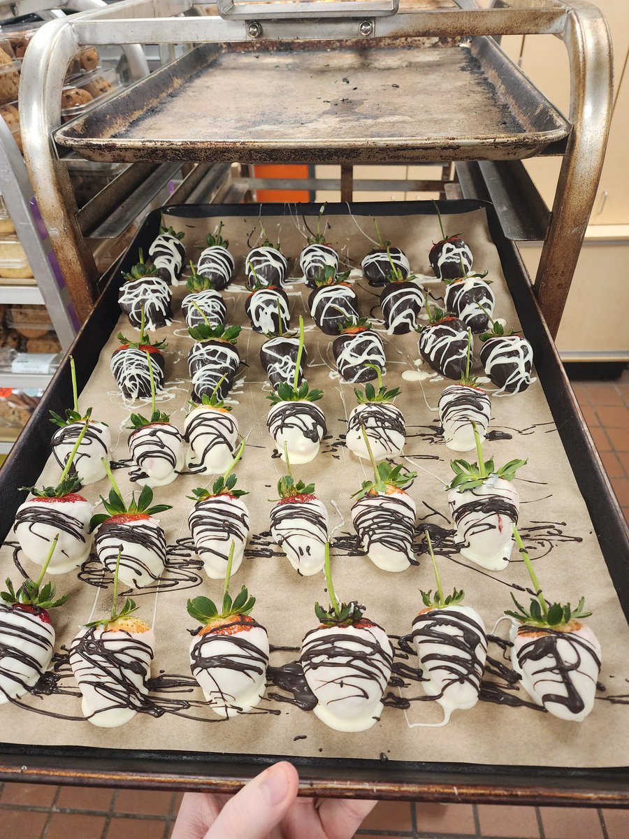 RhettDaFolfsune(Kit) 🔞 TFF2026 tweet media