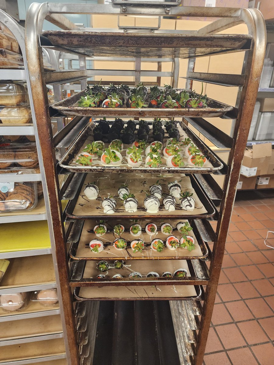 RhettDaFolfsune(Kit) 🔞 TFF2026 tweet media