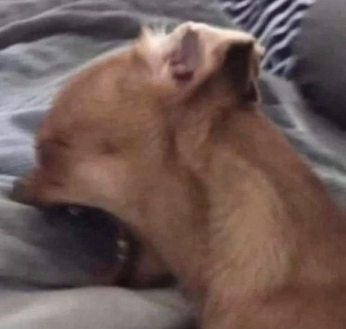 asvezeslua's tweet image. amanhã já tem prova no curso jss 
acabou mesmo o carnaval