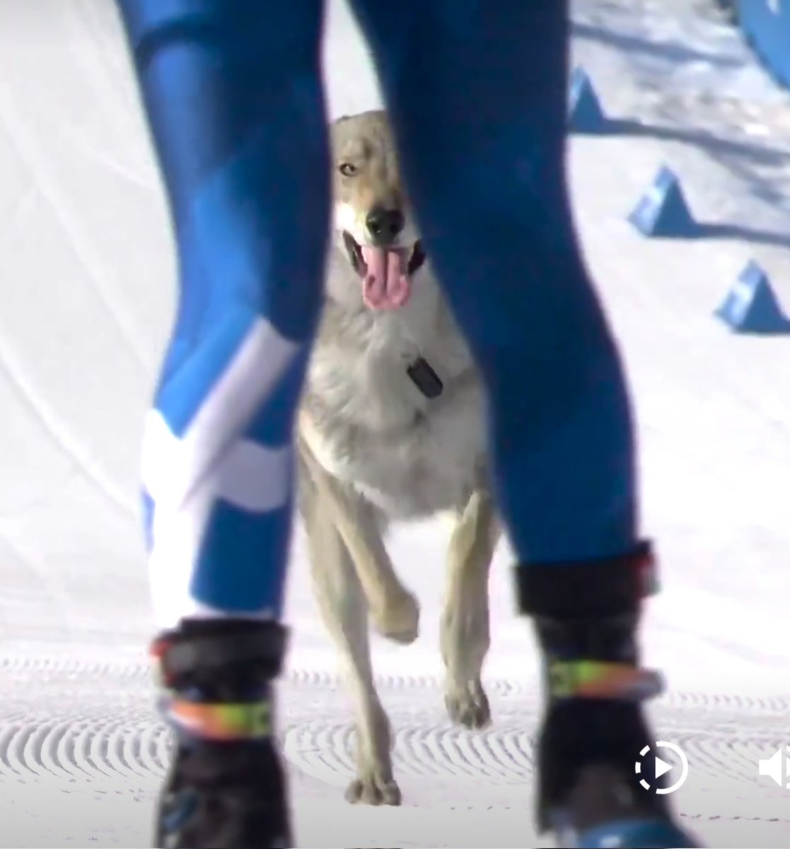 Steve in Green Bay tweet media