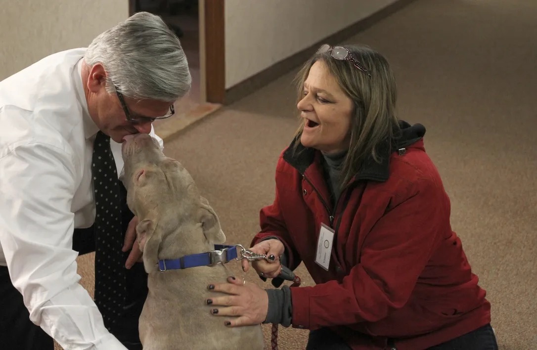 Kim Ahern for Rhode Island tweet media