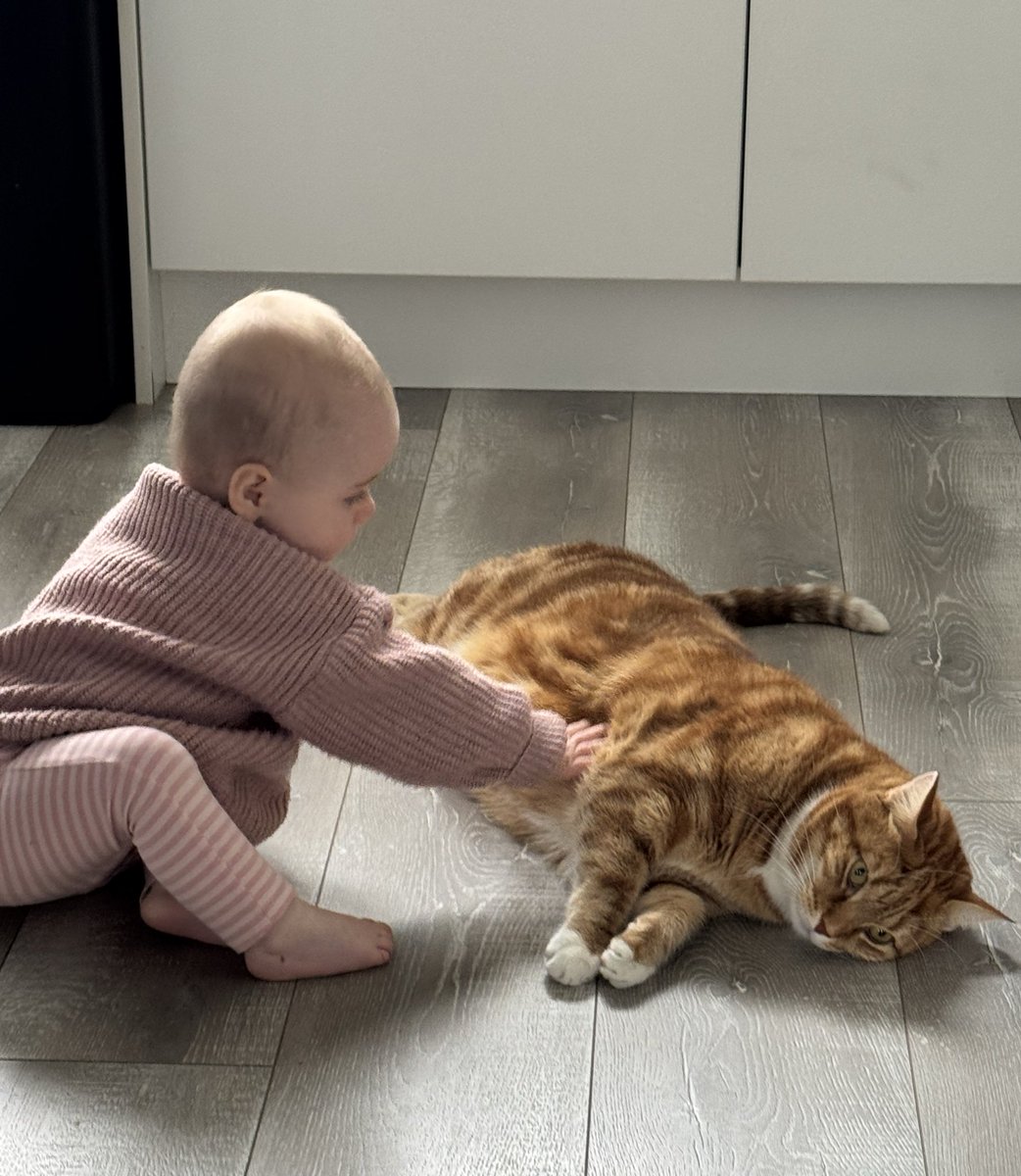 Cedric The Cat tweet media