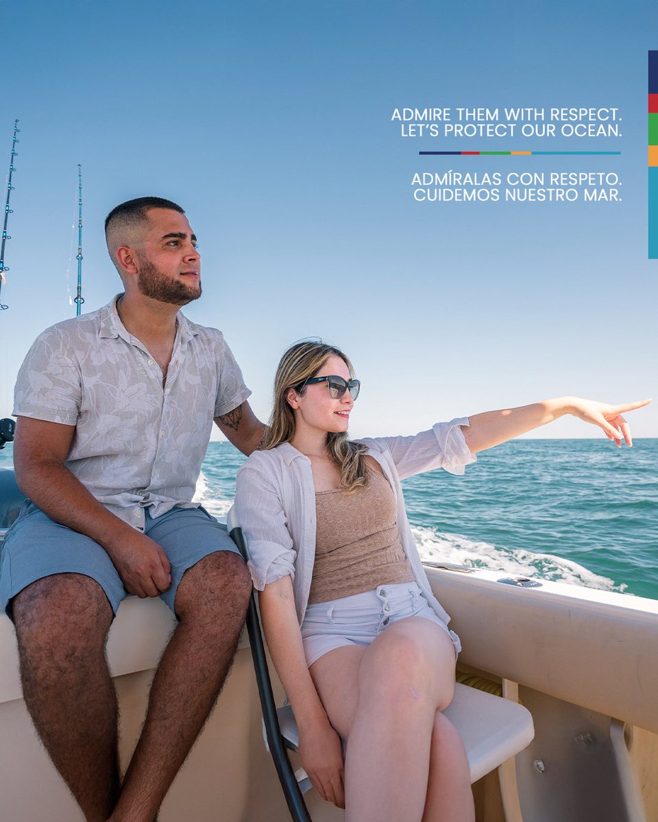 Temporada de ballenas en el Mar de Cortés.

Conoce más en el link de la bio. 🌊🐋
#DíaInternacionalDeLasBallenas

#PUERTOPEÑASCO #RockyPoint
#SeaOfCortez