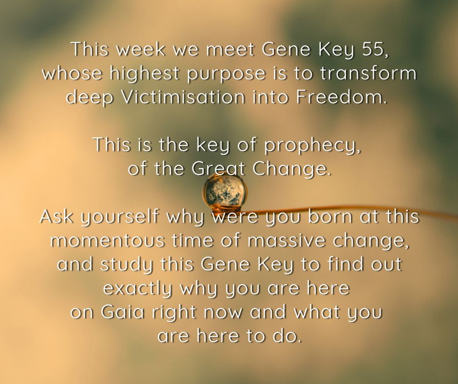 The Gene Keys tweet media