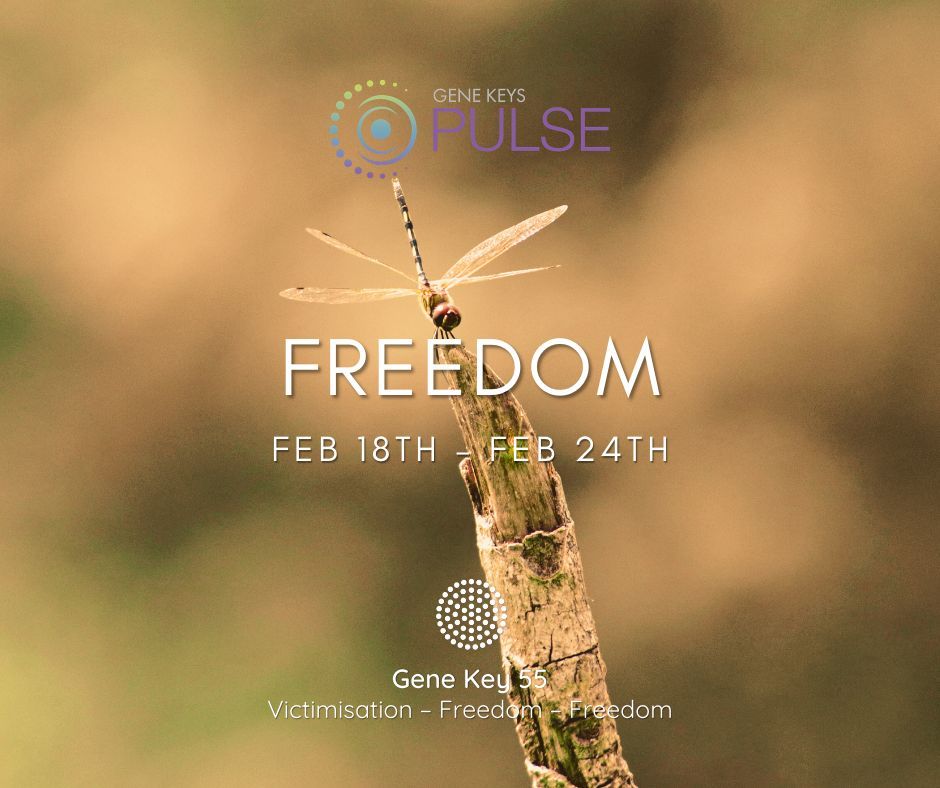 The Gene Keys tweet media