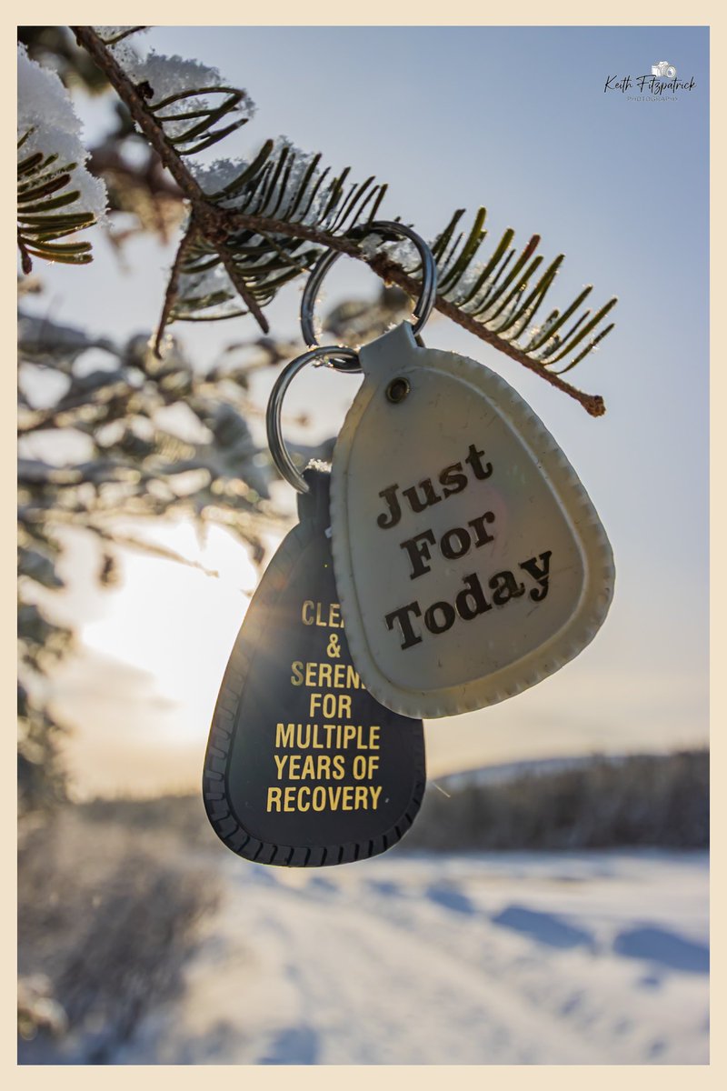 Keith Fitzpatrick tweet media