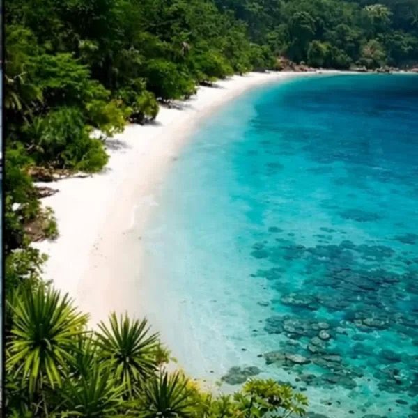 Para salvar los arrecifes de coral, Tailandia abandonó el turismo y cerró temporalmente una isla entera para permitir que se regeneraran.