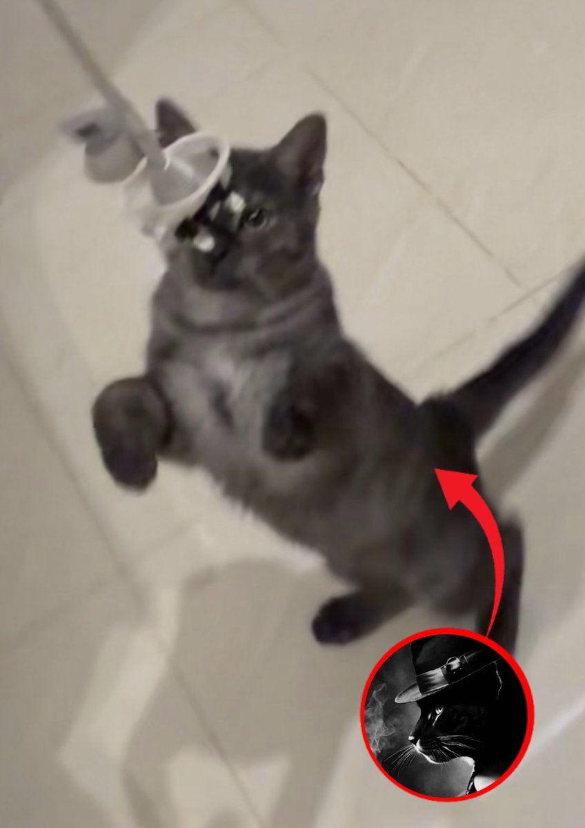 river (@alekasatic) on Twitter photo 