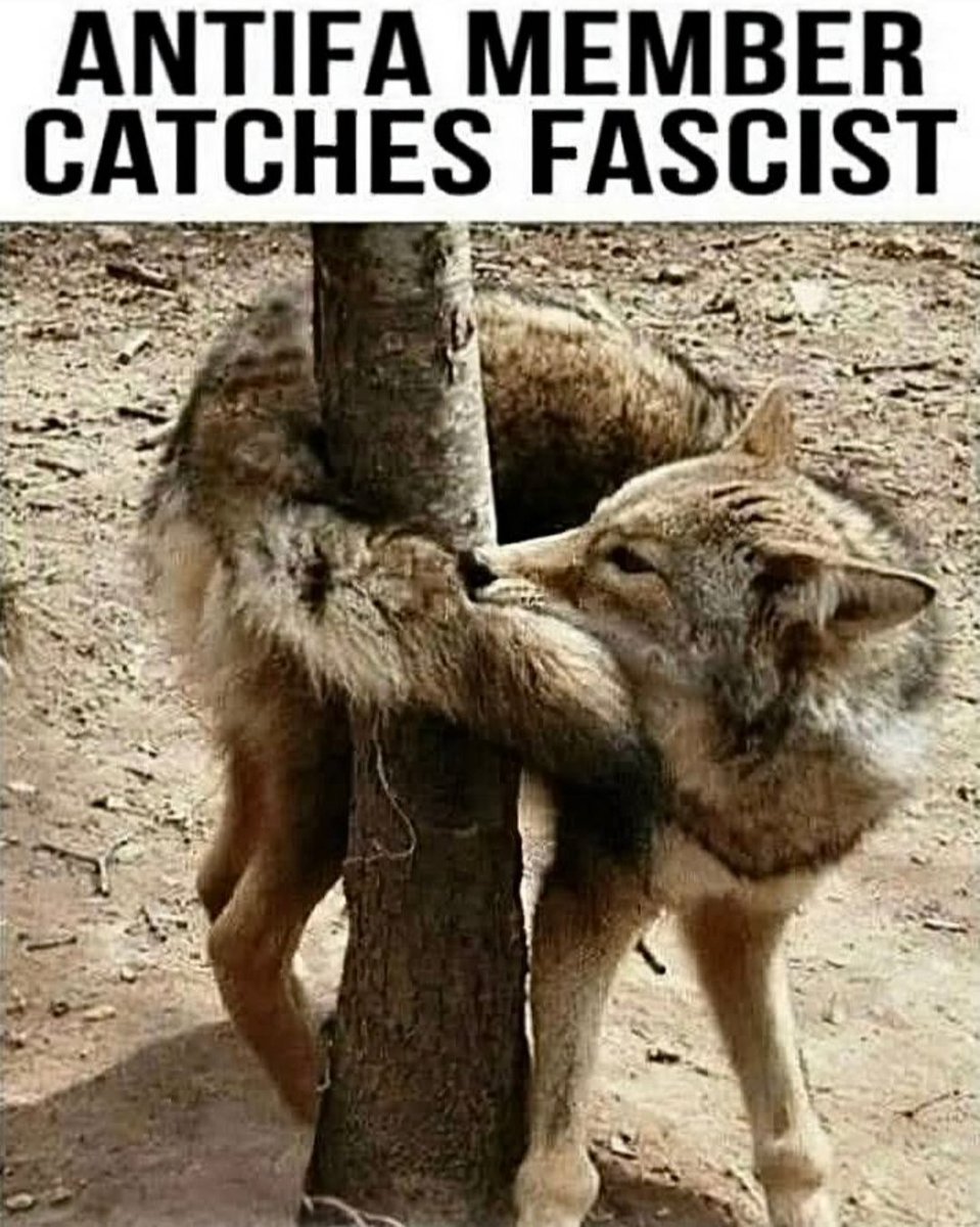 Cachirulo cabreao (@cachirulo_2) on Twitter photo 