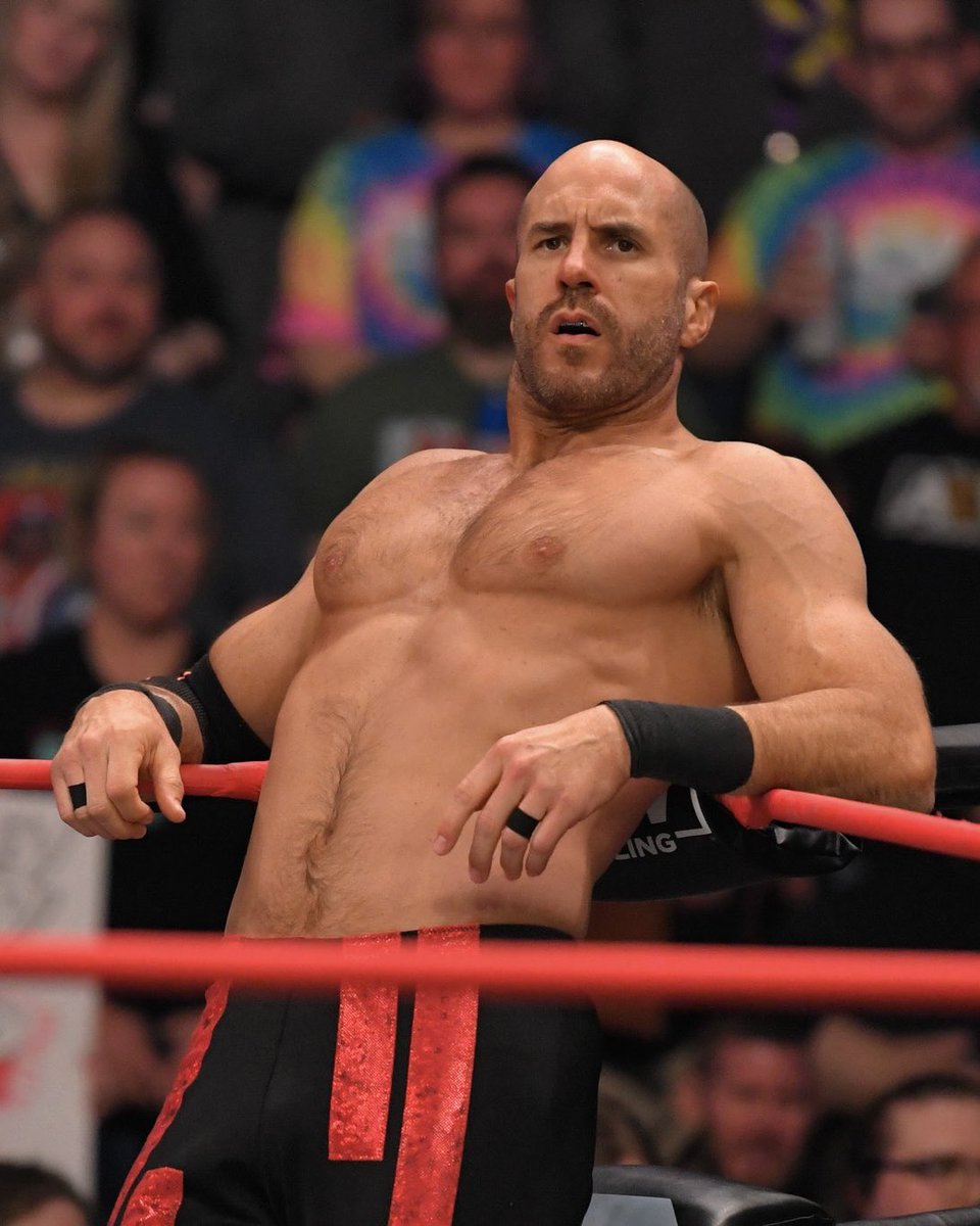 ungodlyrollins's tweet image. 