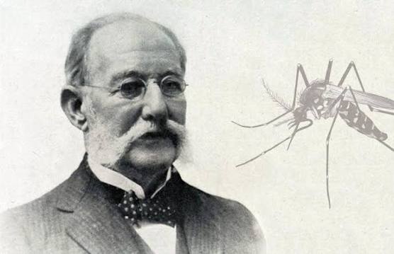 InesMariaGonza6's tweet photo. 18 de febrero de 1881: El Dr. Carlos J. Finlay hace su trascendetal y científica afirmación de que el mosquito es el agente transmisor de la fiebre amarilla. https://t.co/mpJ5ZNv630