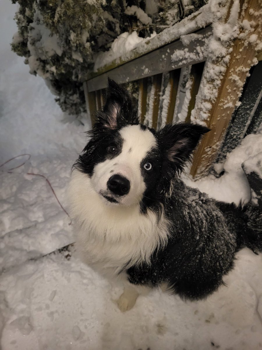 Crash 'CrashTheSkylands' Rowsell tweet media