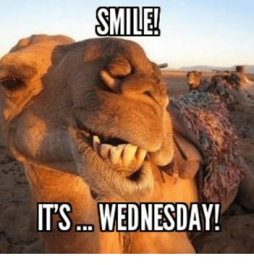 Halfway to the weekend! 🐫😁

#wednesdaymotivation #rideFBT