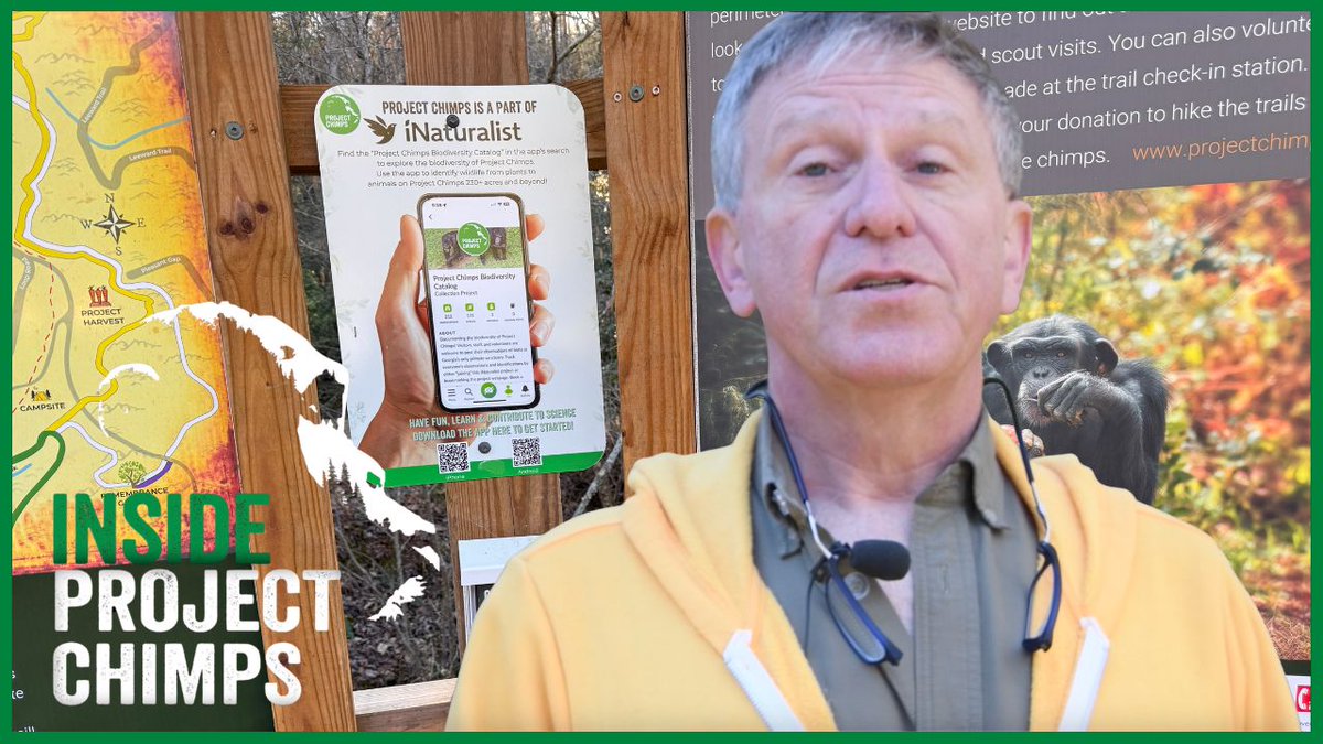 Project Chimps tweet media