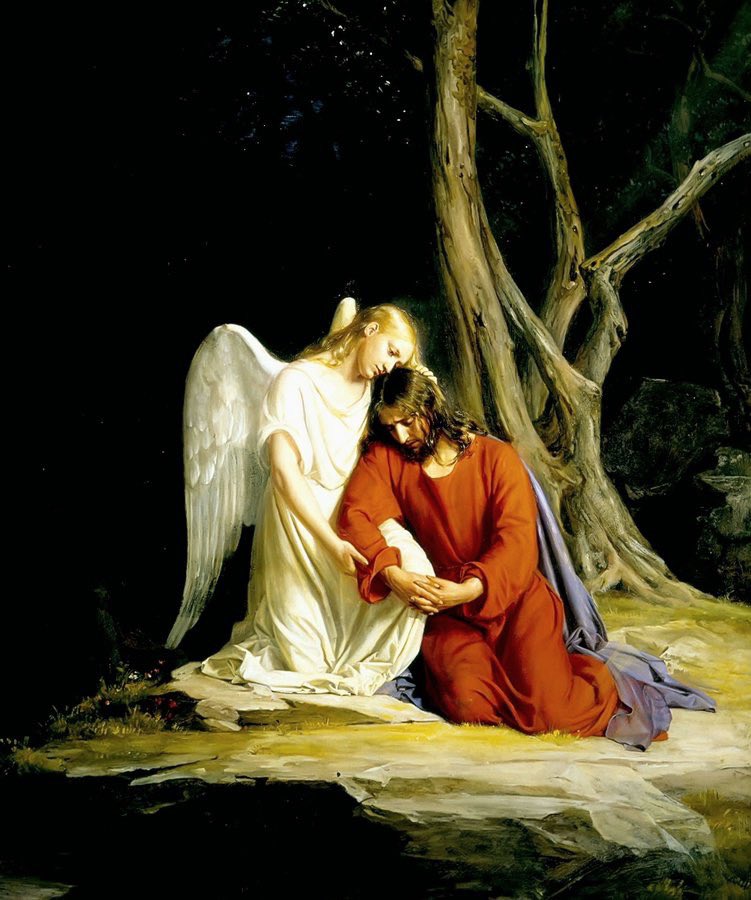 CatholicFQ's tweet photo. https://t.co/q38HMAAn0H