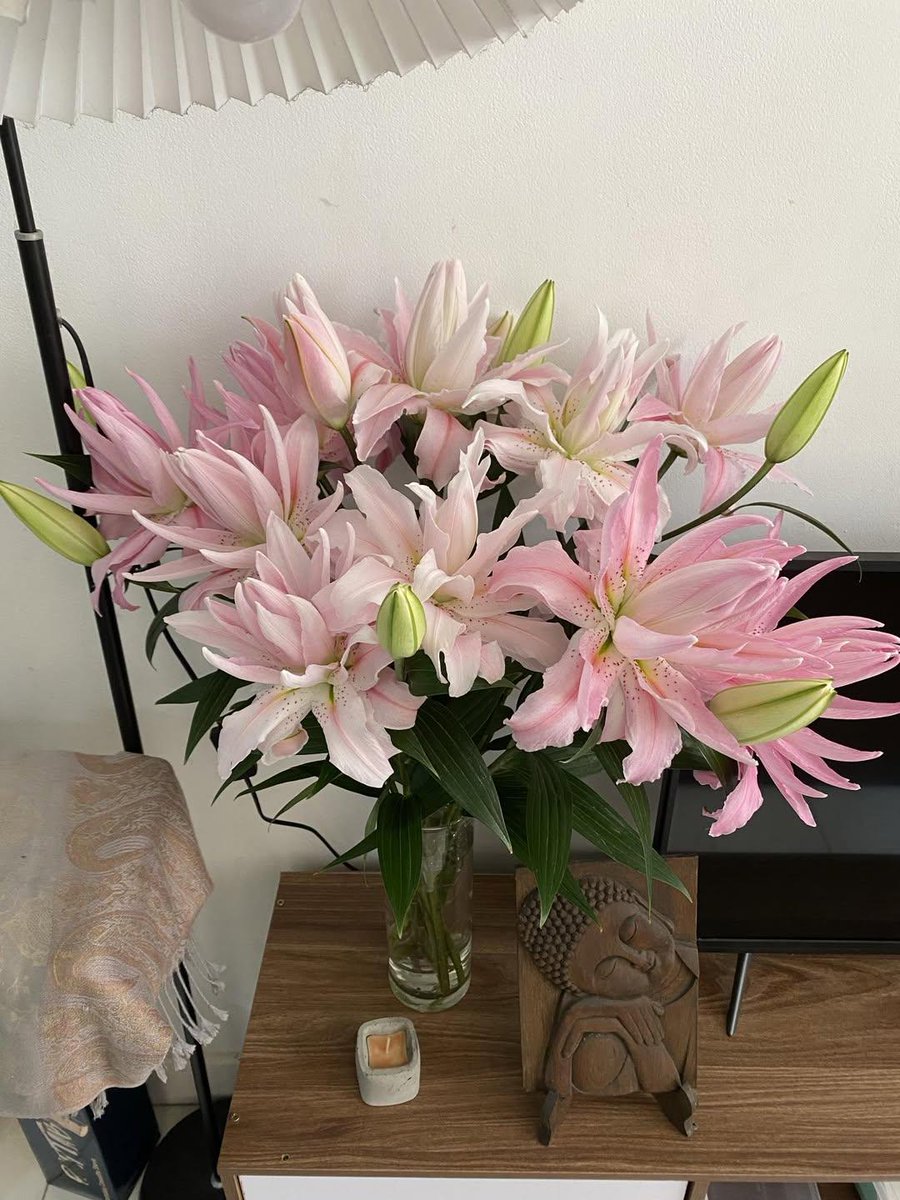 Day 1                                    Day 3